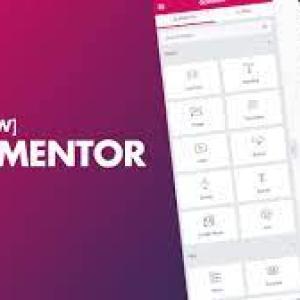 Jasa Pembuatan Website Profesional Wordpress + Elementor